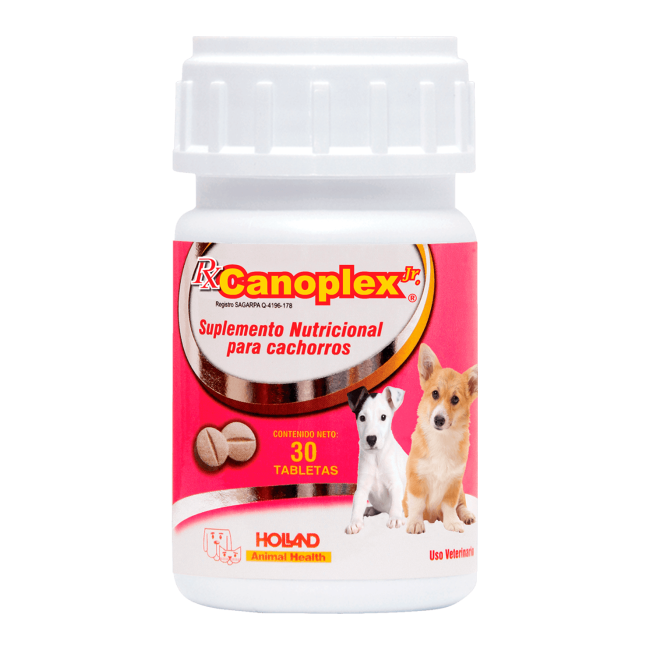 Suplemento Alimenticio Canoplex Junior Perros Cachorros Holland