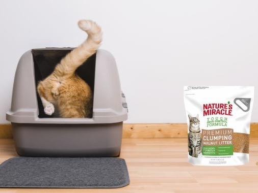 Arena Aglomerante Maiz Gato Natures Miracle