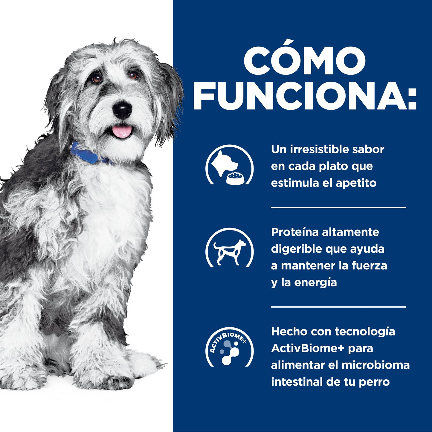 Hill's Prescription Diet ONC Care Nutrición y Apoyo de Recuperación Alimento Húmedo para Perro diagnosticado con cáncer 354 g