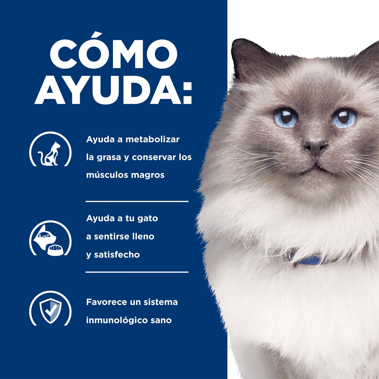 Hills Science Diet Alimento Gatos r/d 3.9 kg Sobrepeso Diabetes Croqueta Pienso RD