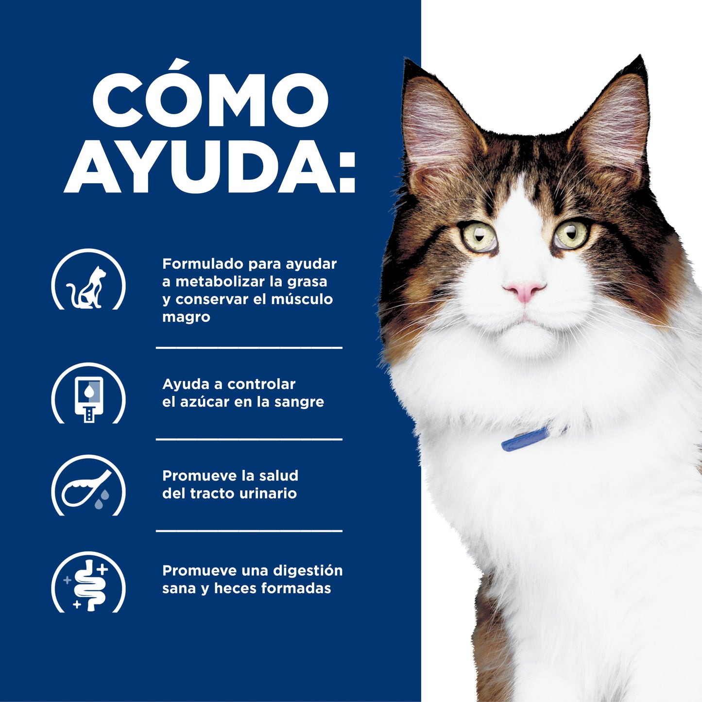Hills Science Diet Alimento Gatos w/d 3.9 kg Prevención Obesidad Croquetas Pienso WD