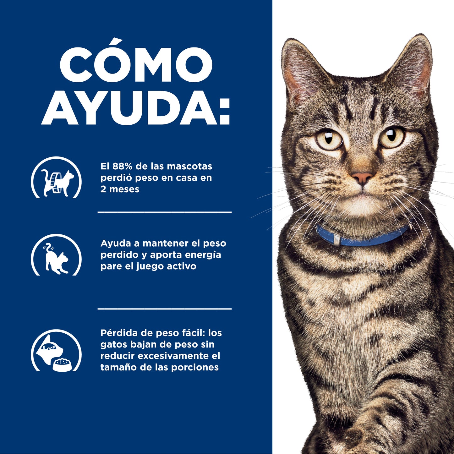Hills Science Diet Alimento Gatos Metabolic Control de Peso Croquetas Pienso