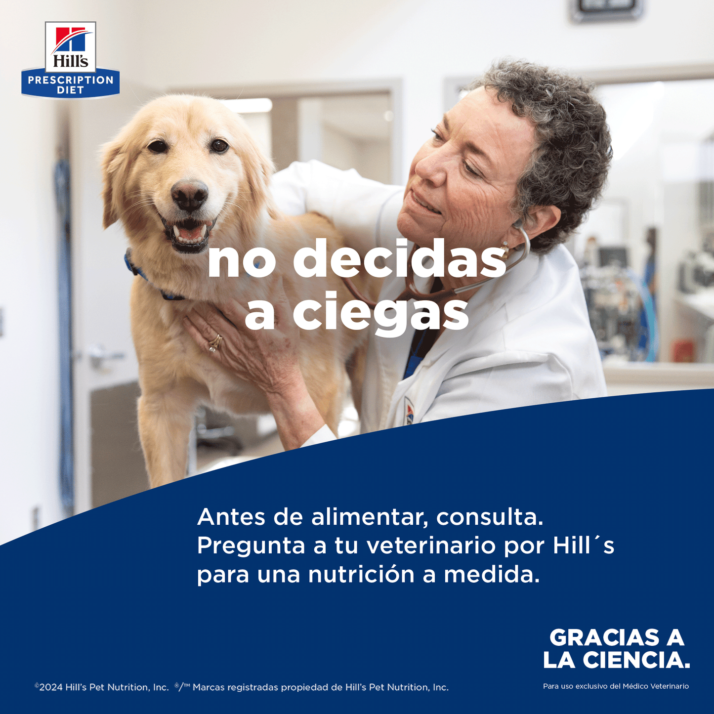 Hills Science Diet Alimento Perros c/d Lata 350 gr Estofado Urolitiasis Humedo cd