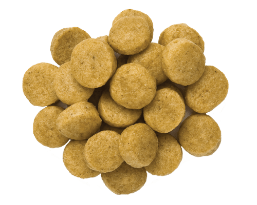 Hills Science Diet Alimento Perros u/d Urolitiasis Enfermedad Renal Etapa Final UD