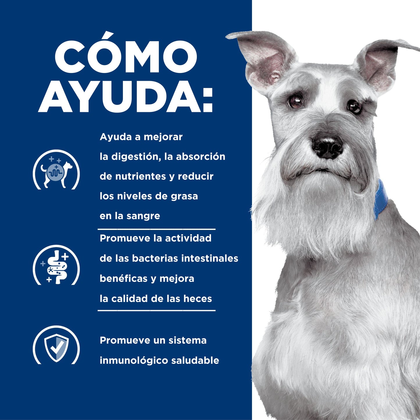 Hills Science Diet Alimento Perro i/d Low Fat Lata 370 gr Baja Grasa Gastrointestinal id Low Fat