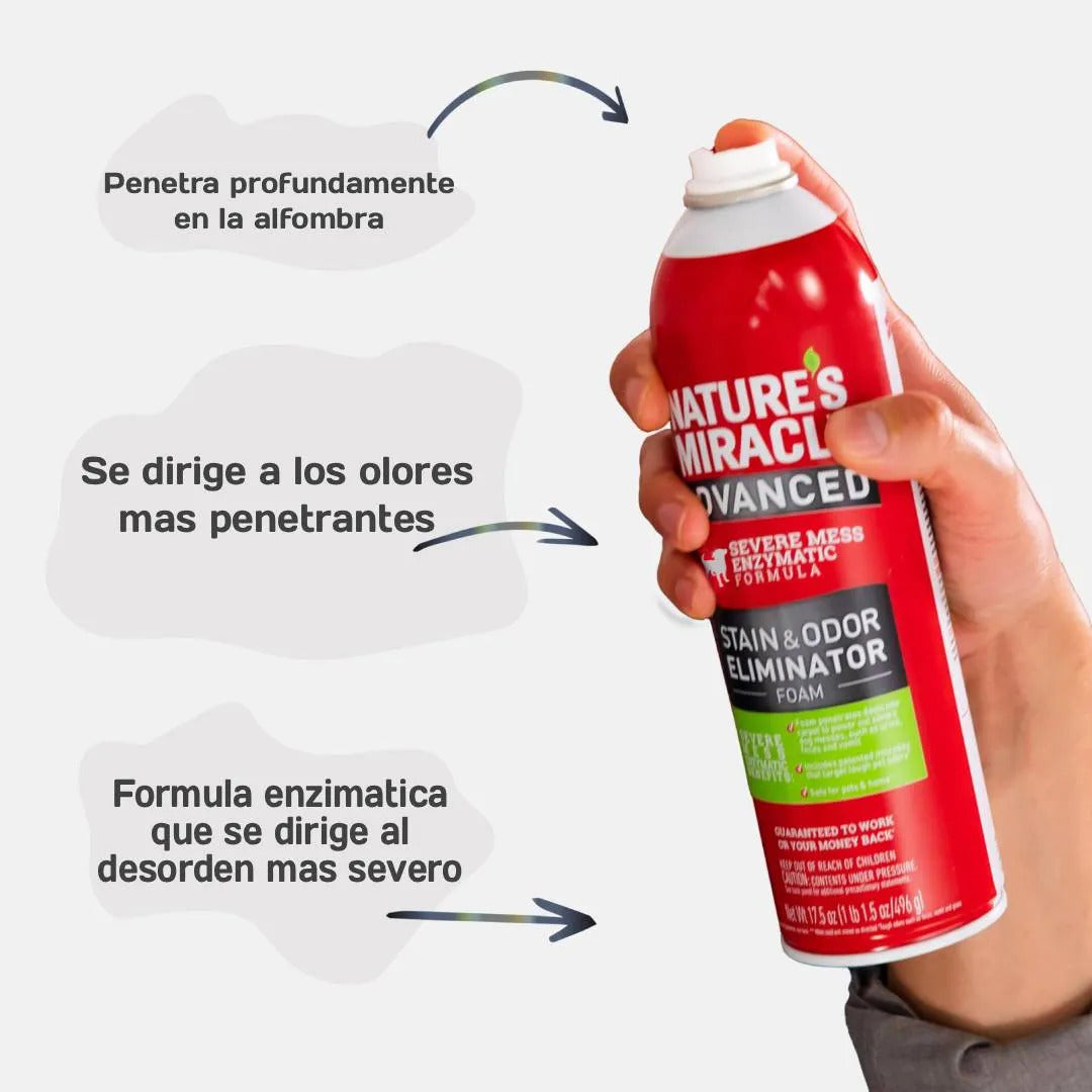 Eliminador Manchas Y Olores En Espuma Natures Miracle Perro