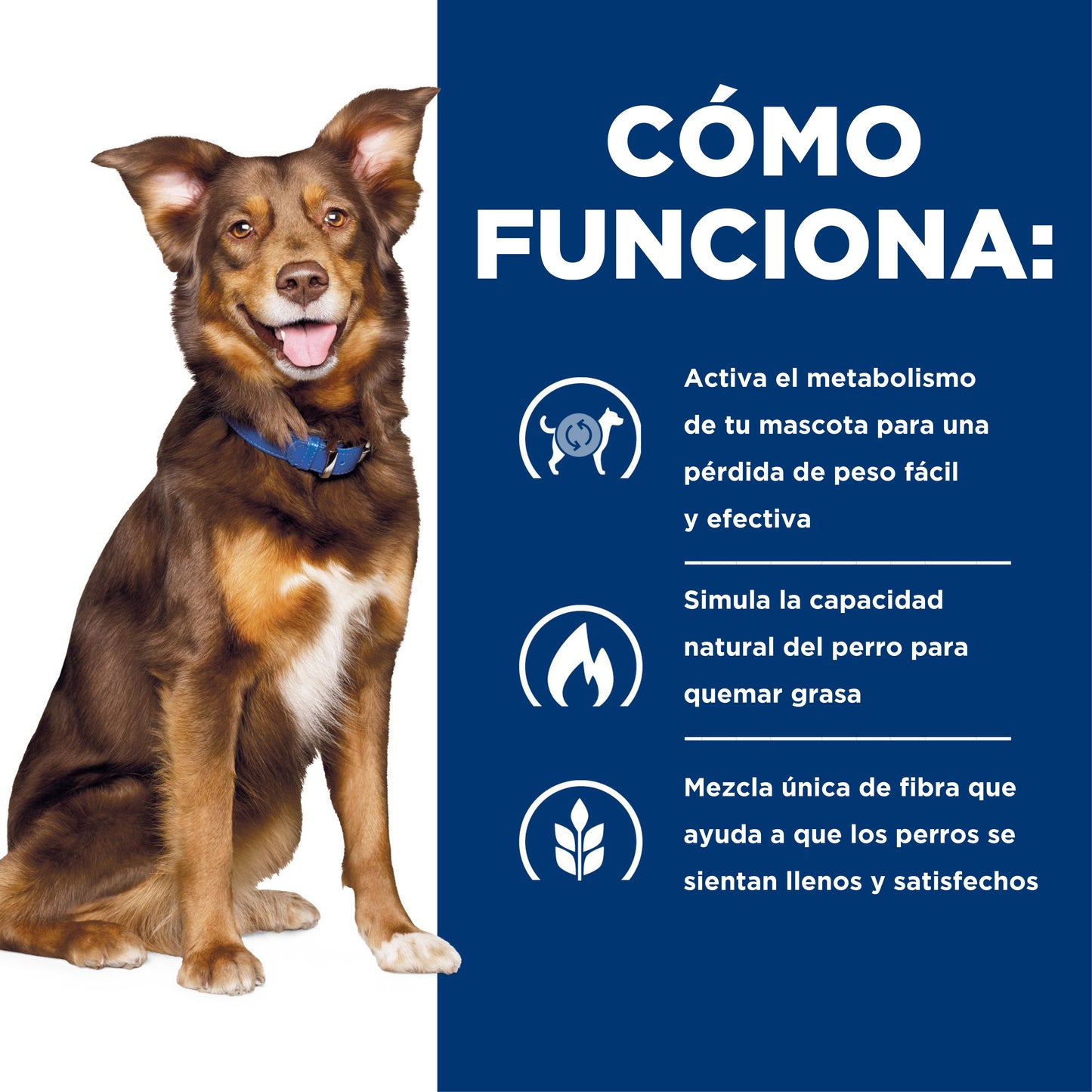 Hills Science Diet Alimento Perros Metabolic Control Peso Pienso