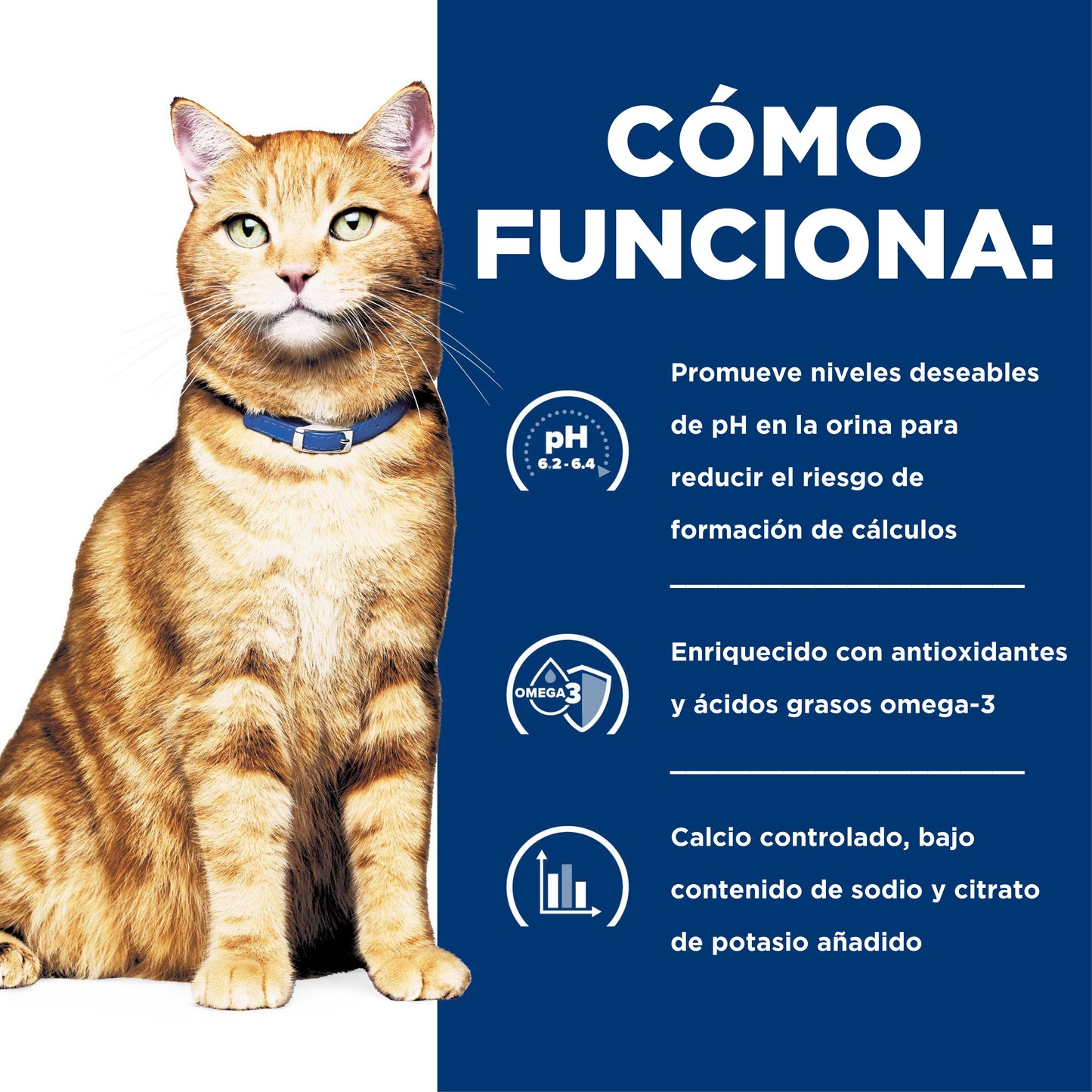 Hills Science Diet Alimento Gatos c/d Multicare Lata 150 gr Urolitiasis Cuidado Urinario CD