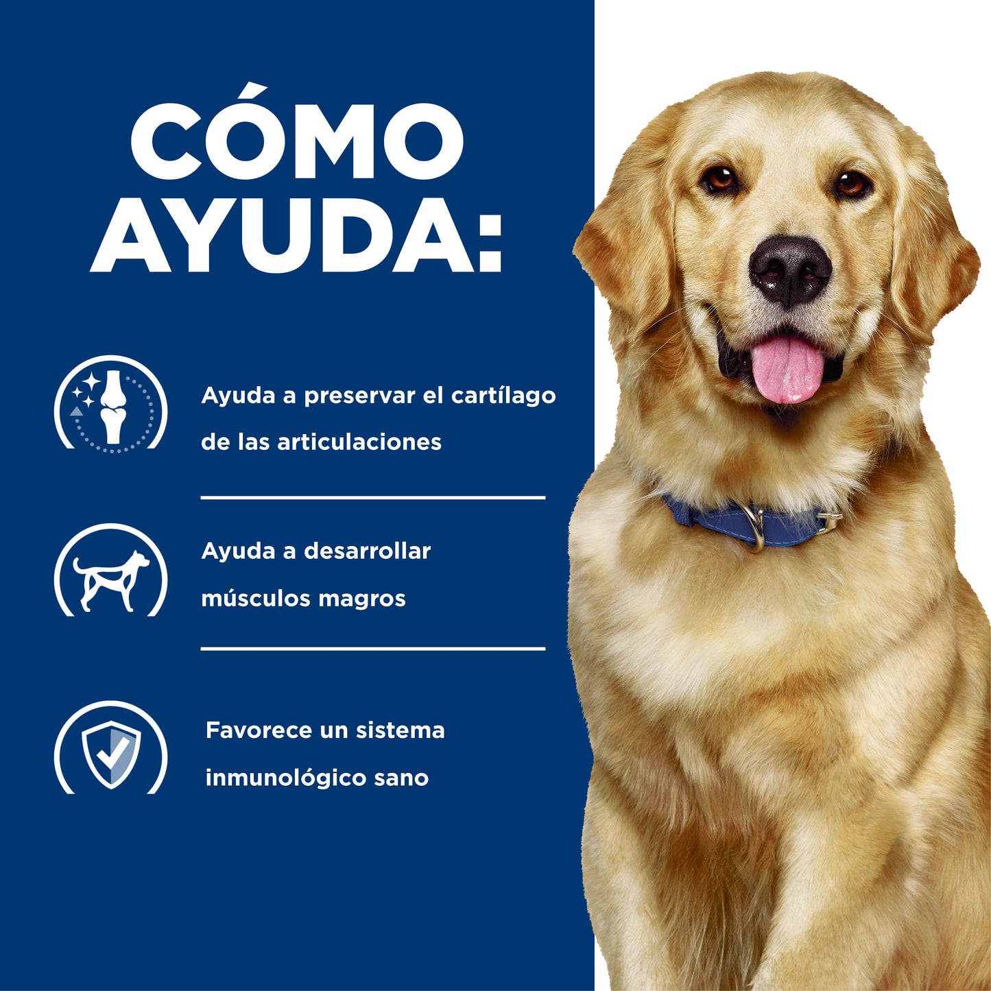 Hills Science Diet Alimento Perros j/d Artritis Alimento Seco Croquetas jd