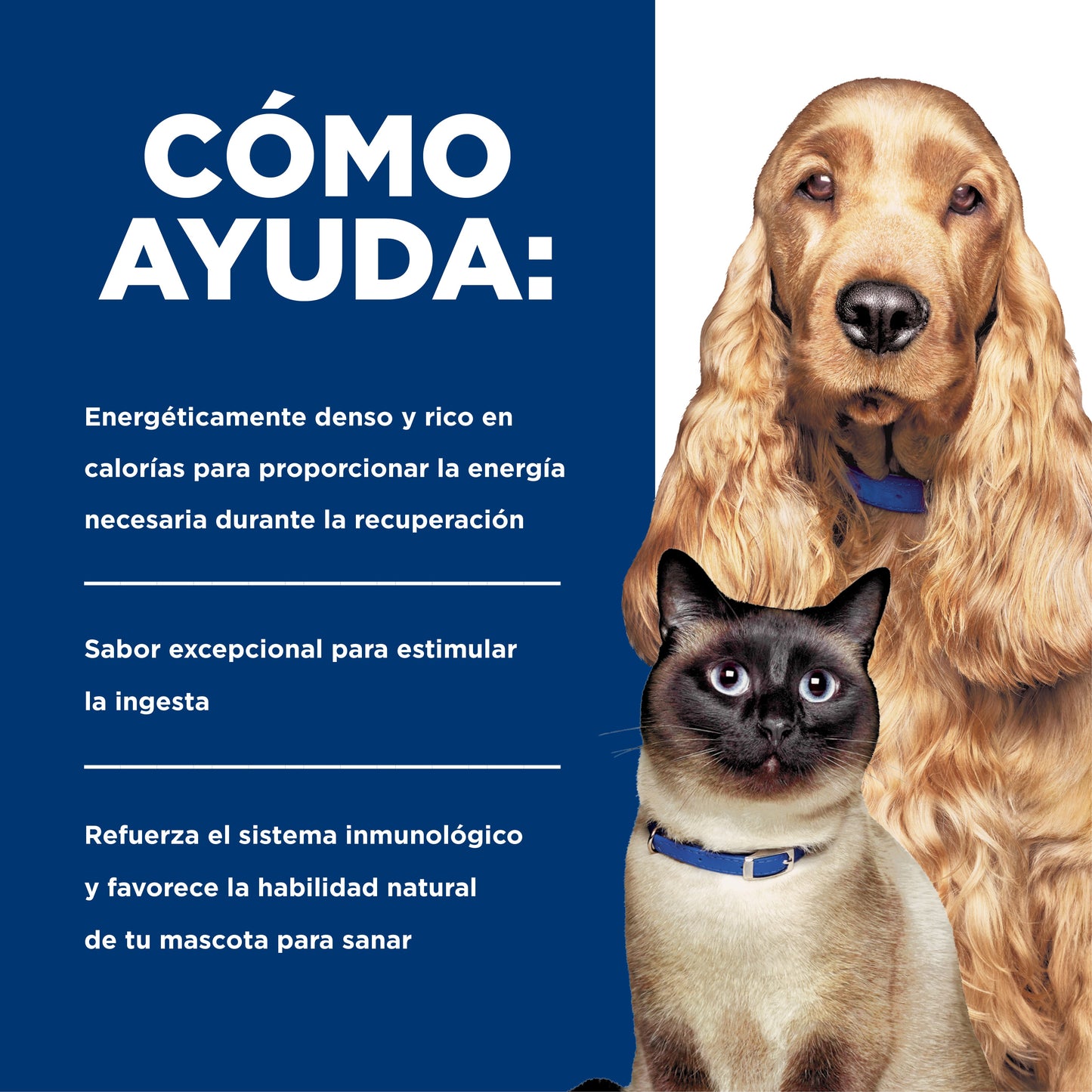 Hills Science Diet Alimento Perros Gatos a/d Lata 156 gr Cuidados Urgentes AD