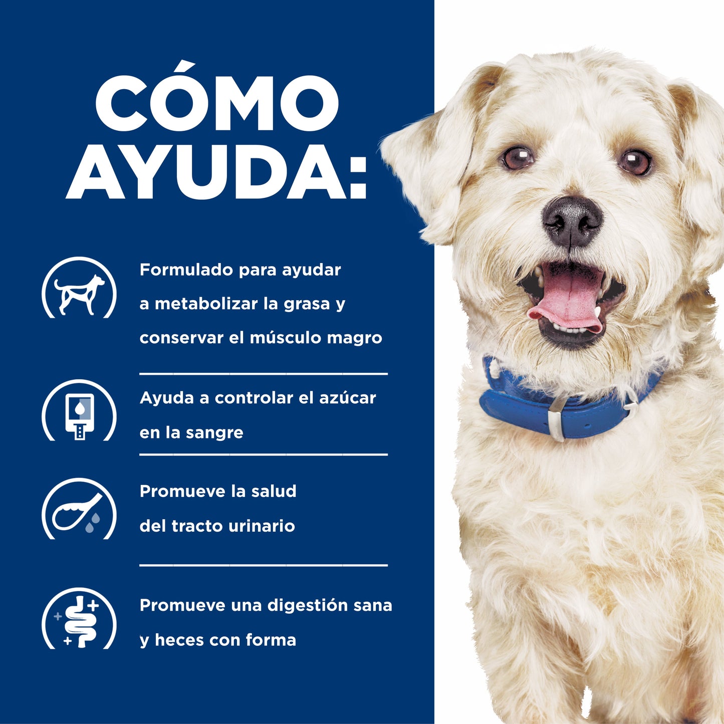 Hills Science Diet Alimento Perros w/d Lata 370 gr Sobrepeso Prevencion Obesidad wd