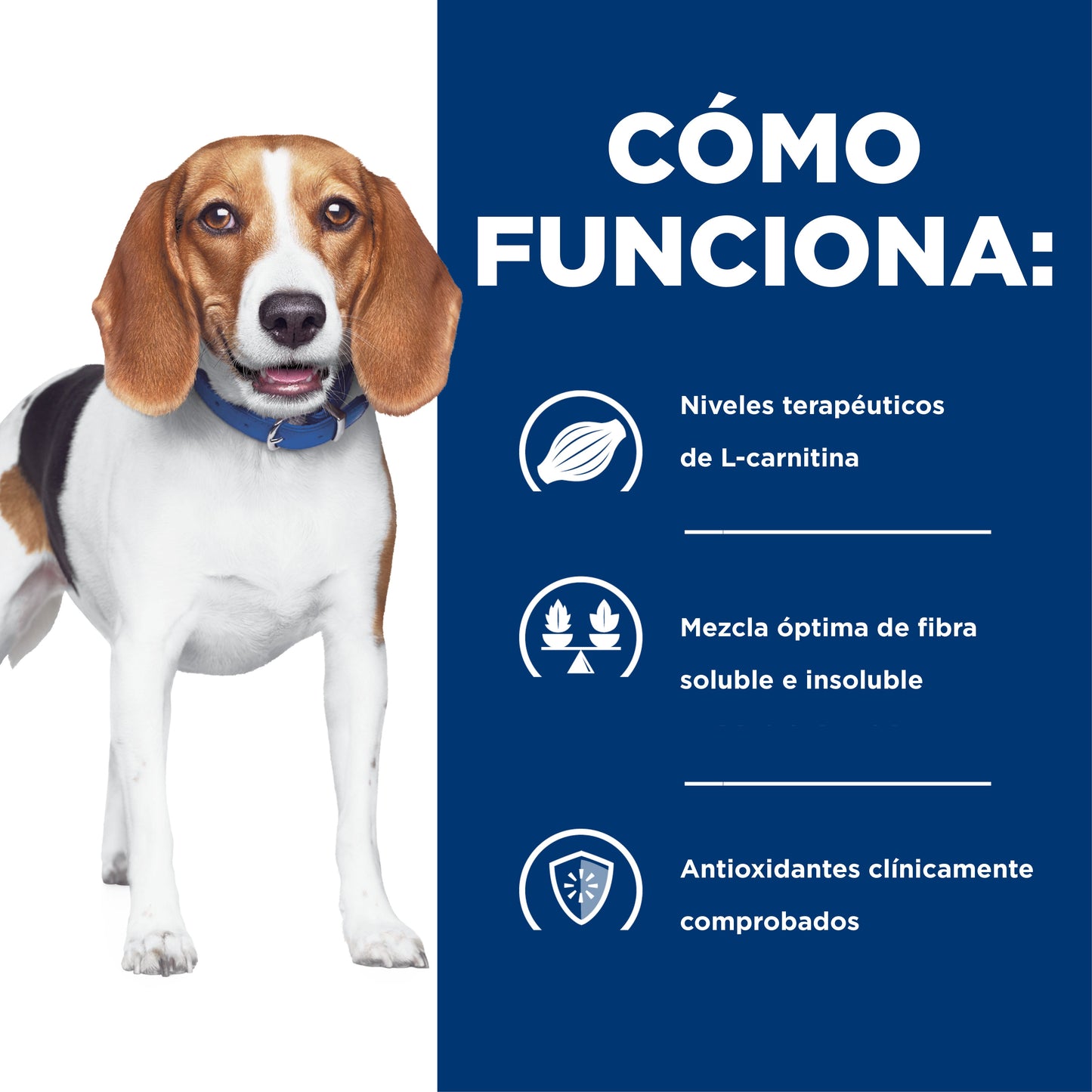 Hills Science Diet Alimento Perros r/d Sobrepeso Diabetes Pienso RD
