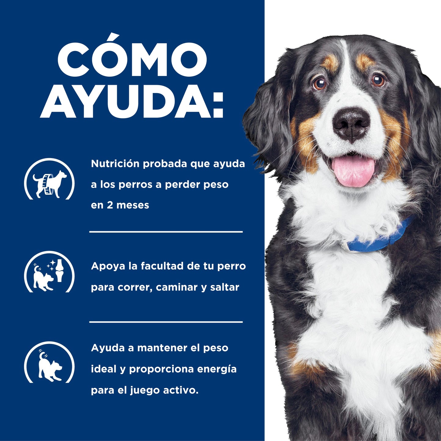 Hills Science Diet Alimento Perros Metabolic + Mobility Control Peso Artritis