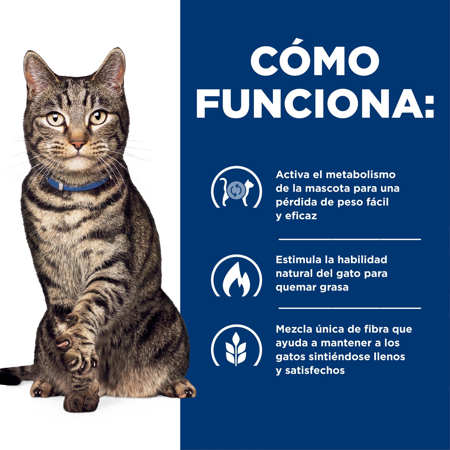 Hills Science Diet Alimento Gatos Metabolic Control de Peso Croquetas Pienso
