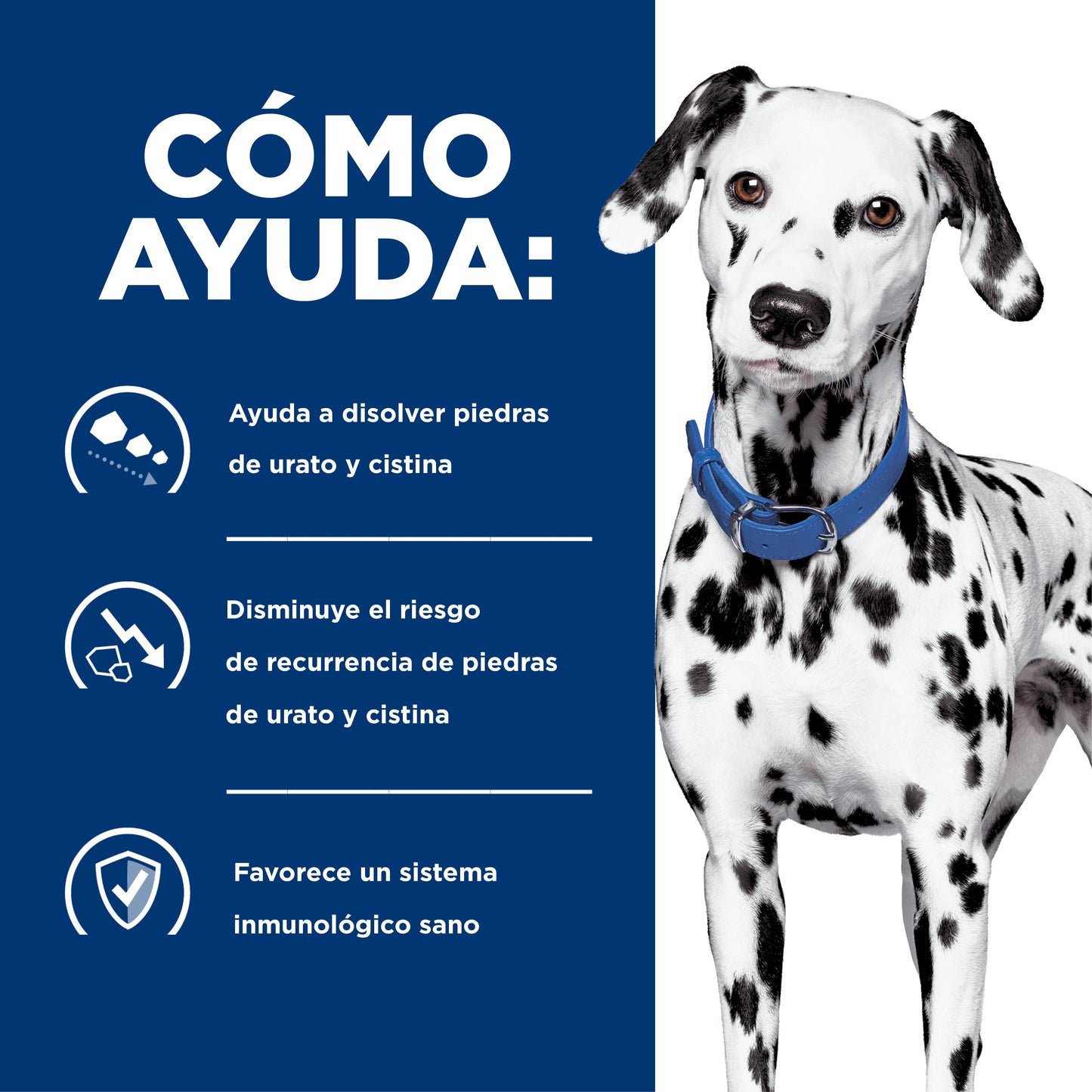 Hills Science Diet Alimento Perros u/d Urolitiasis Enfermedad Renal Etapa Final UD