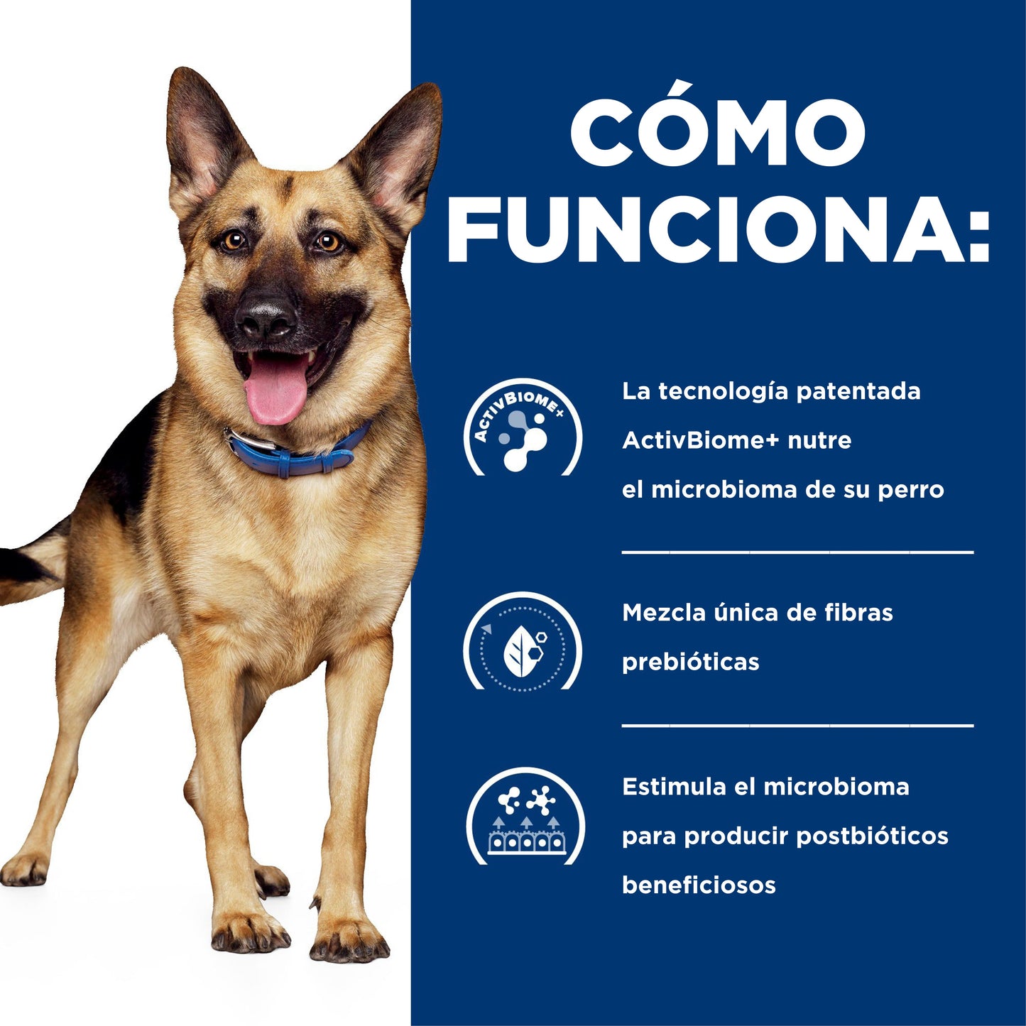 Hill's Prescription Diet Lata Biome Digestive / Fiber Care Alimento Húmedo para Perro con Cuidado Gastrointestinal 354gr