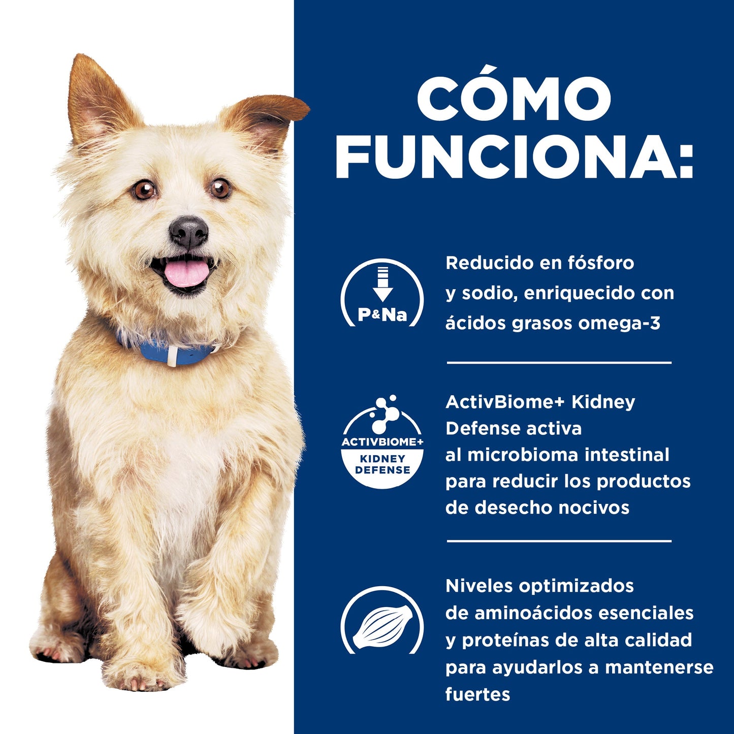Hills Science Diet Alimento Perros k/d Lata 350 gr Estofado Enfermedad Renal kd