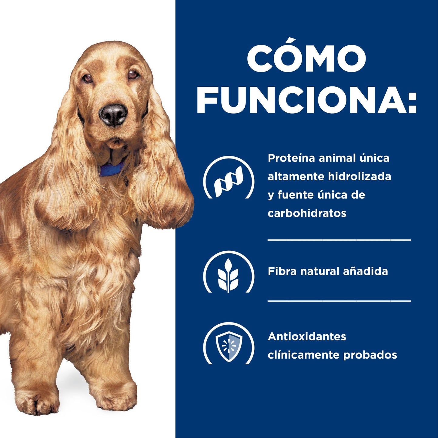 Hills Science Diet Alimento Perros z/d Ultra Alergia Alimentaria Pienso zd