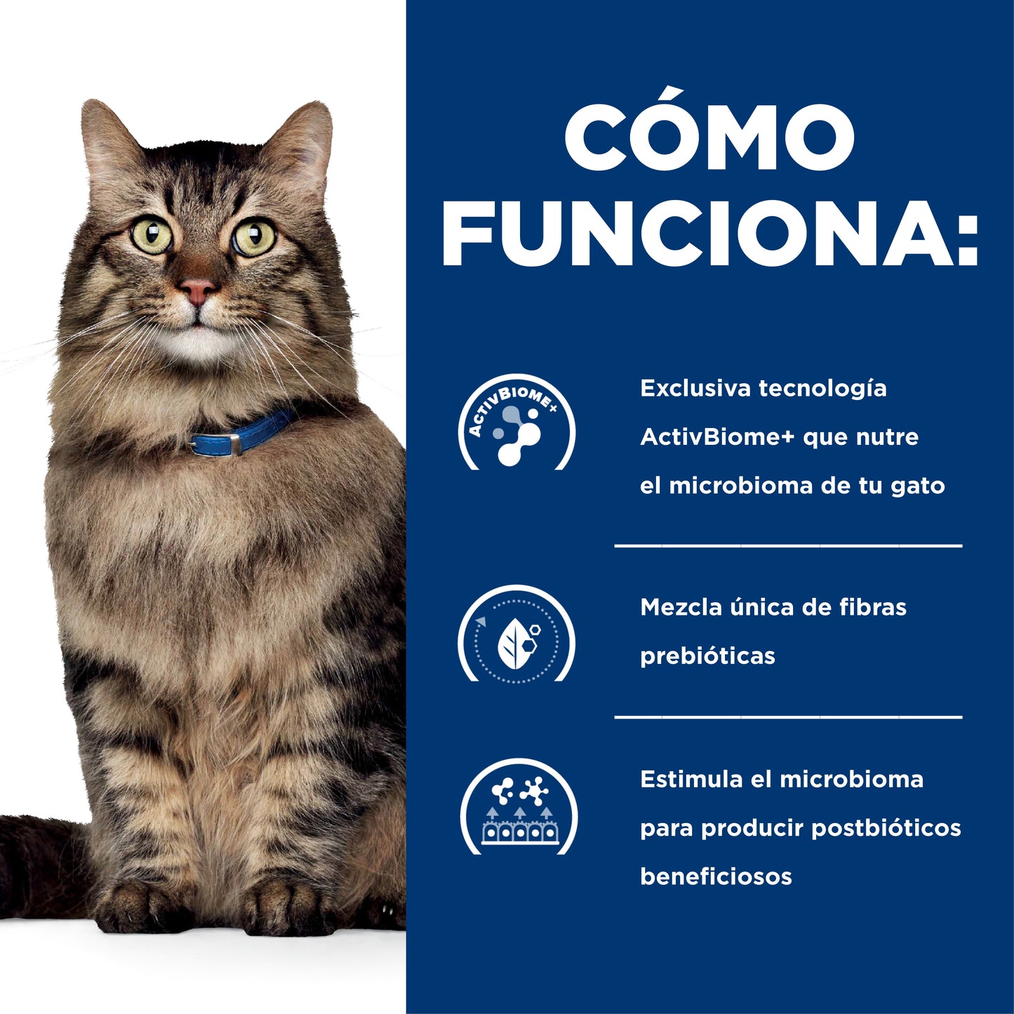 Hills Prescription Diet GI Biome Felino  1.8 Kg Alimento Cuidado Gástrico Gato