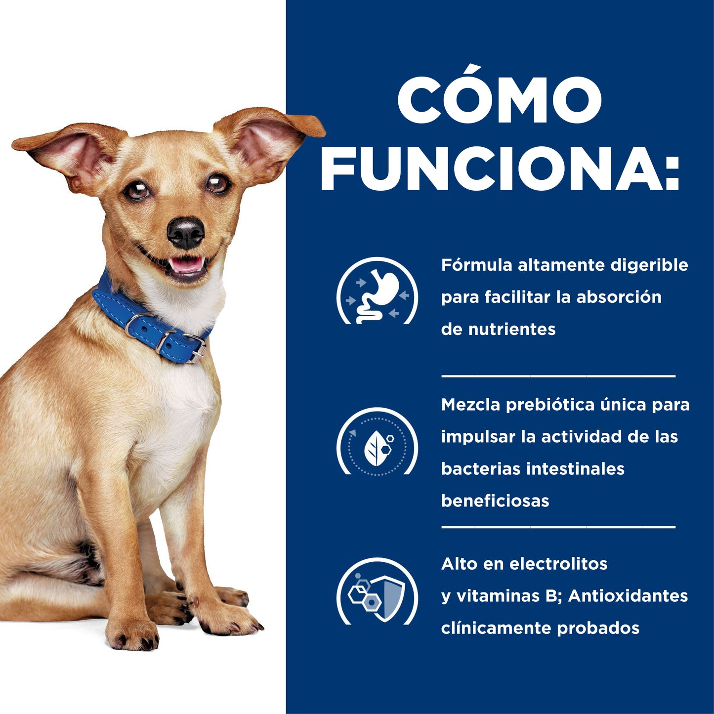 Hills Science Diet Alimento Perros i/d Small Bites Raza Pequeña Enfermedad Gastrointestinal id
