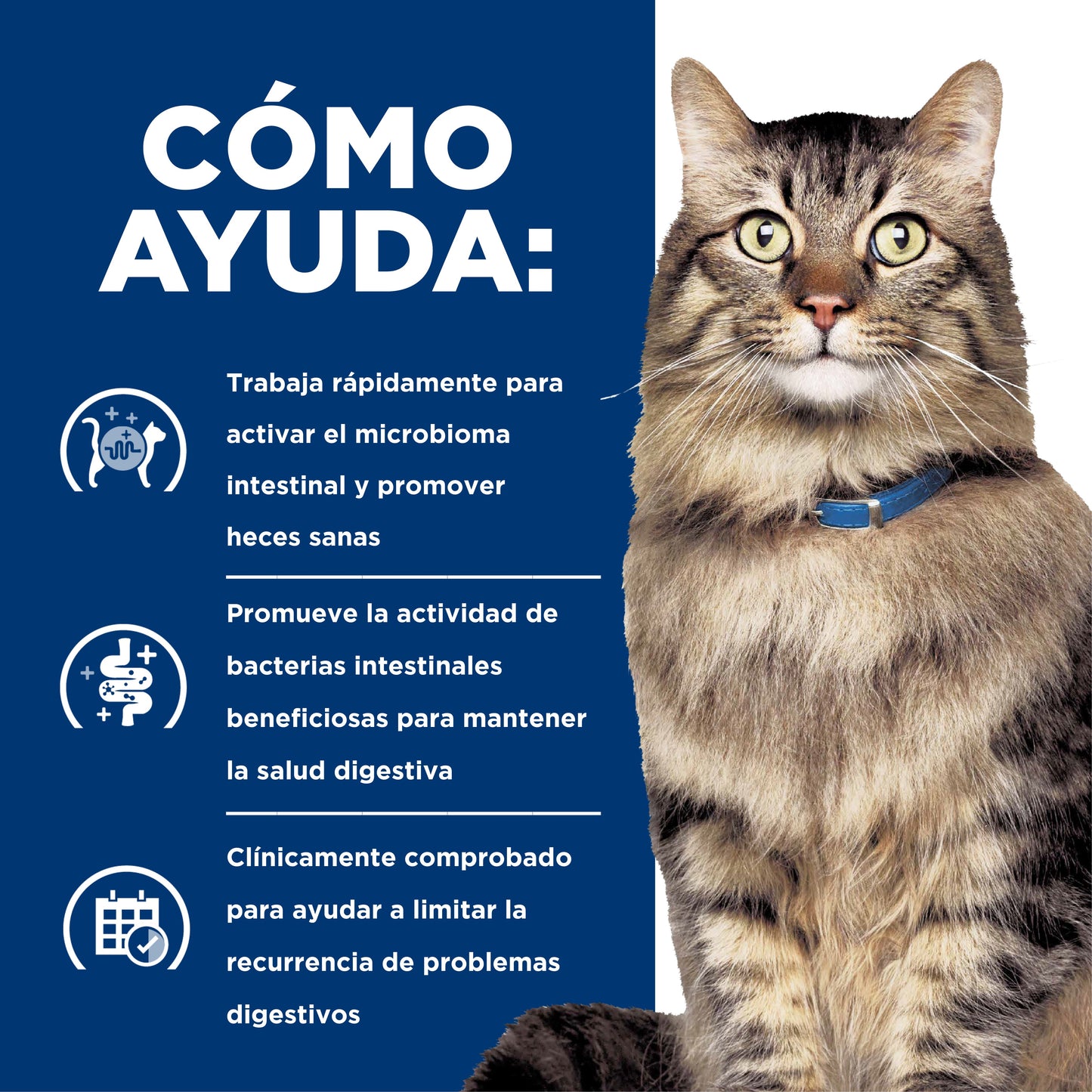 Hills Prescription Diet GI Biome Felino  1.8 Kg Alimento Cuidado Gástrico Gato