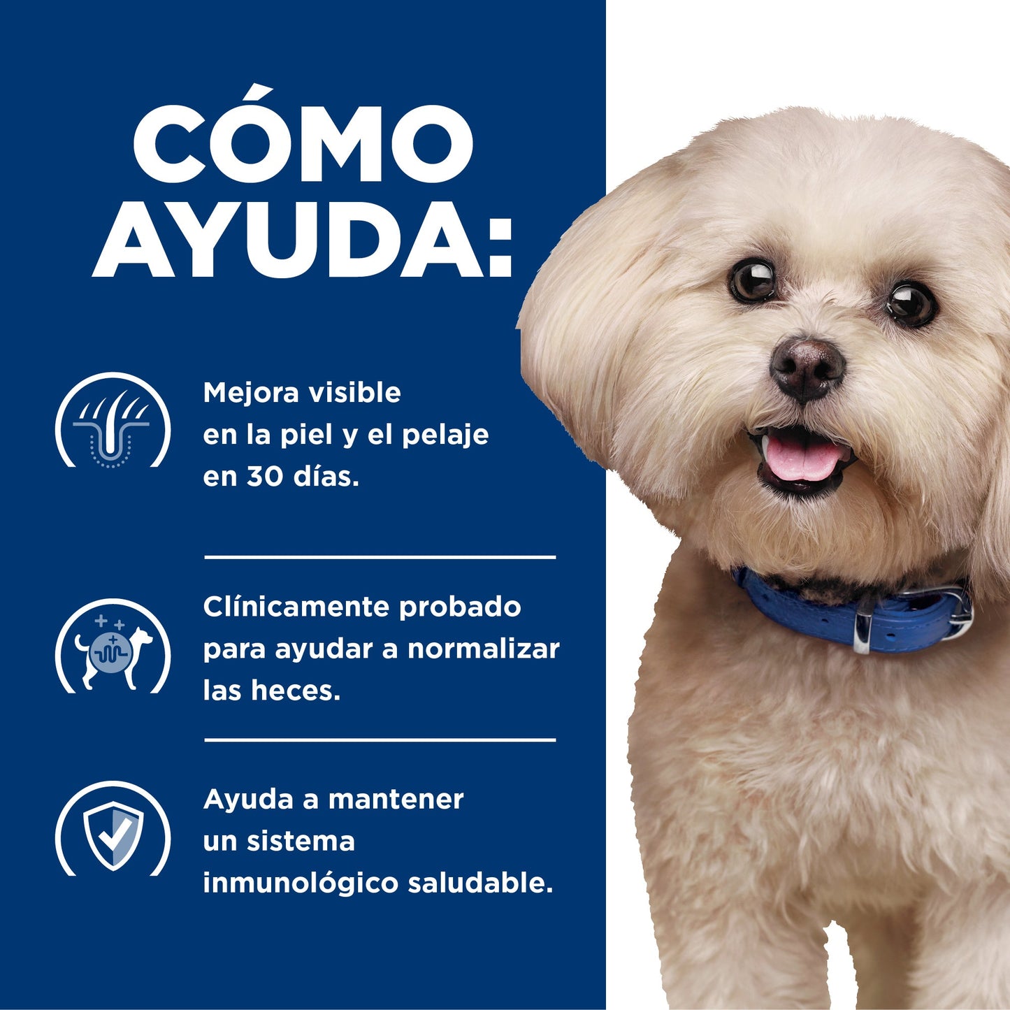 Hill's Prescription Diet z/d Small Bites Sensibilidades Alimentarias Alimento Seco para Perro ZD