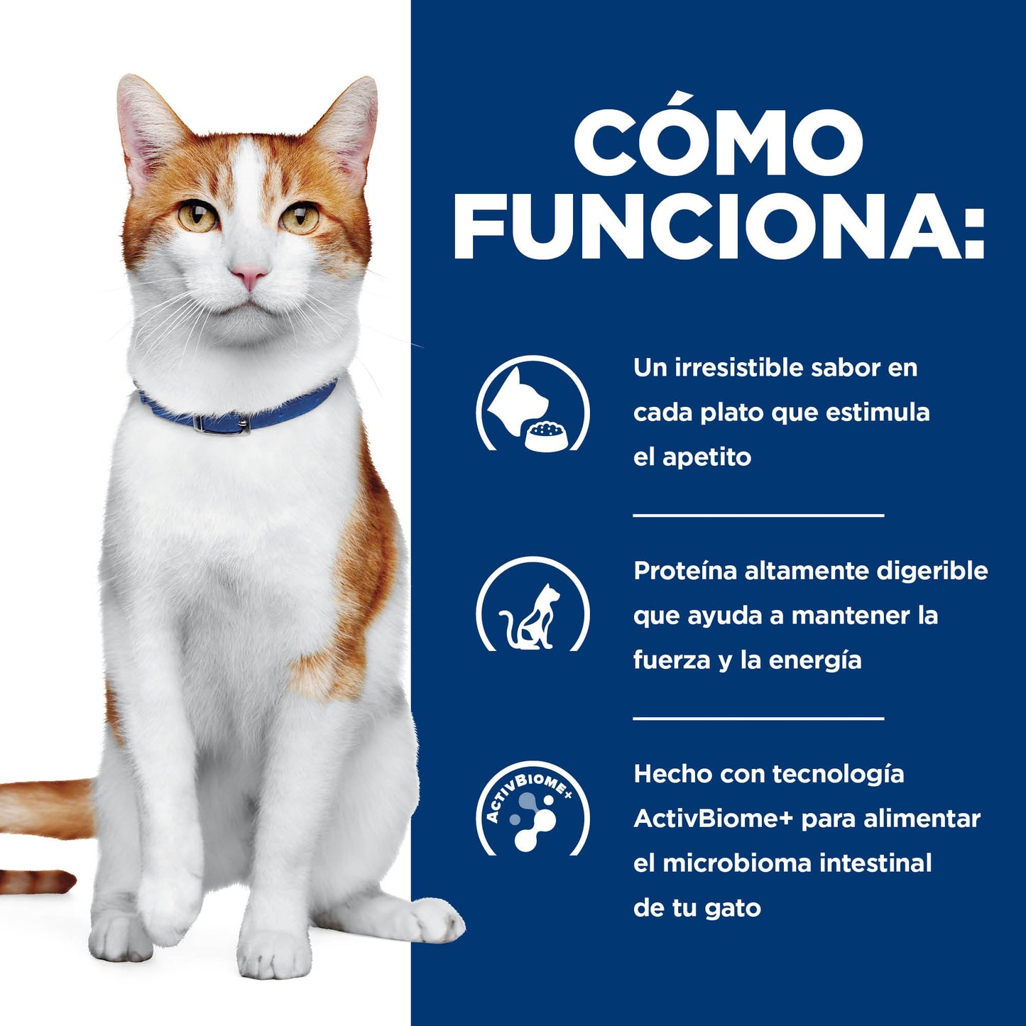 Hill's Prescription Diet ONC Care Nutrición y Apoyo de Recuperación Alimento Seco para Gato, 3.2 Kg