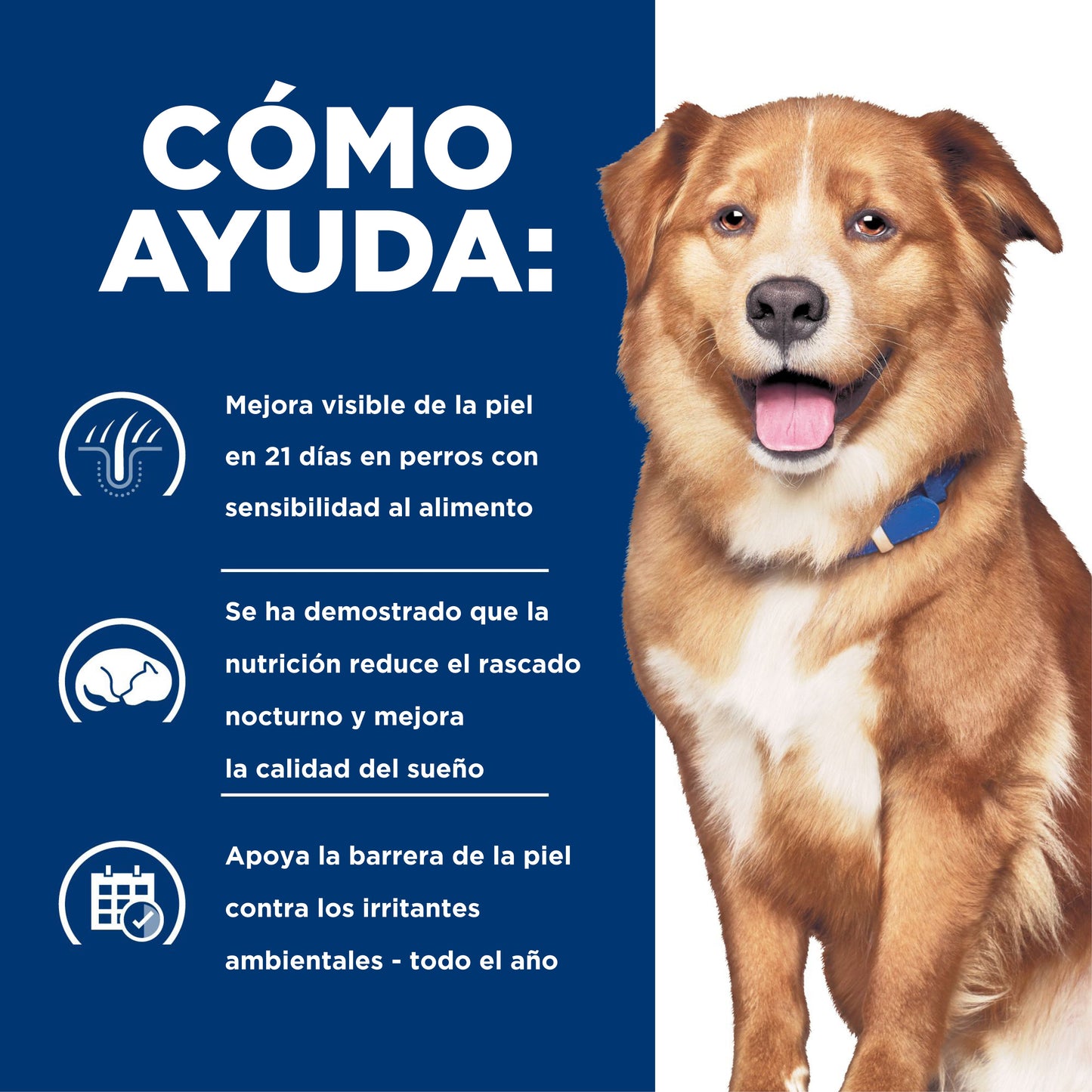 Hills Science Diet Alimento Perros Derm Complete Alergias Ambientales Croquetas