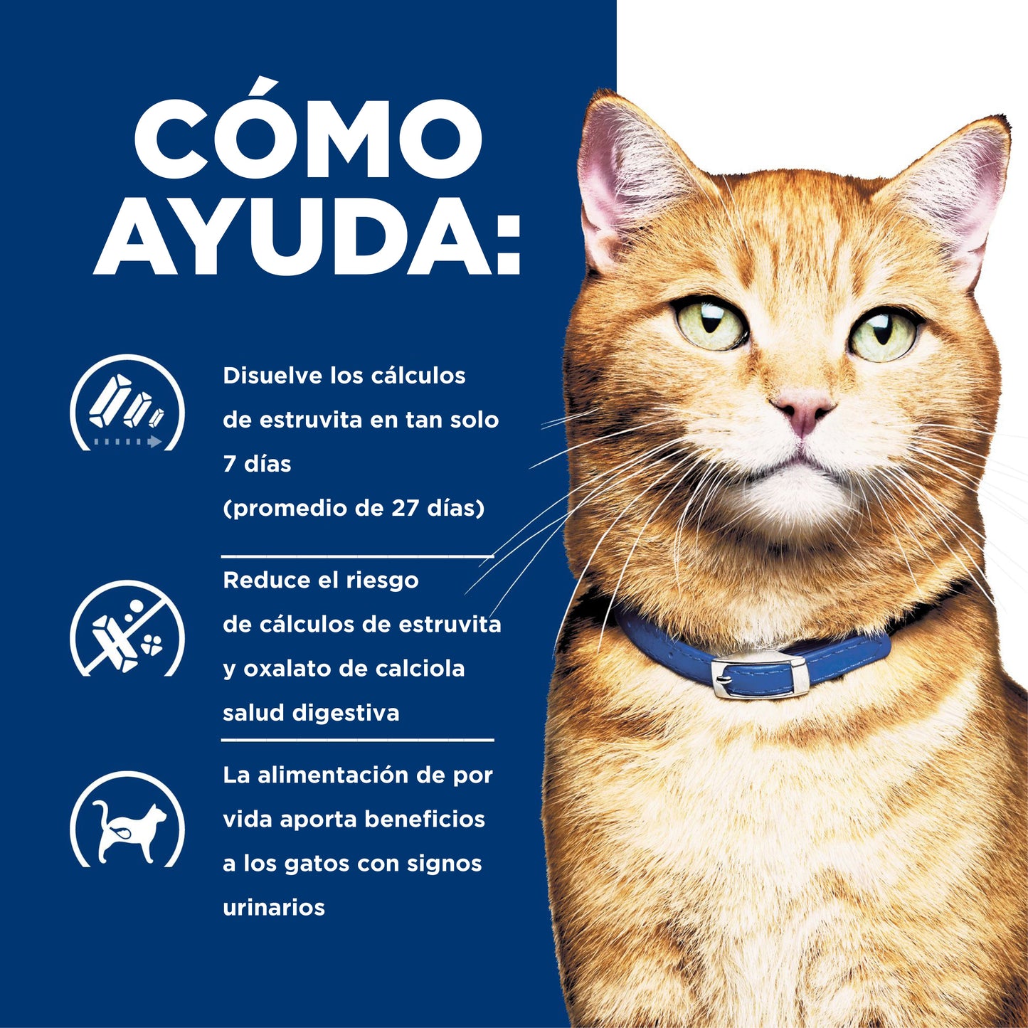 Hills Science Diet Alimento Gatos c/d Multicare Urolitiasis Croquetas Pienso cd
