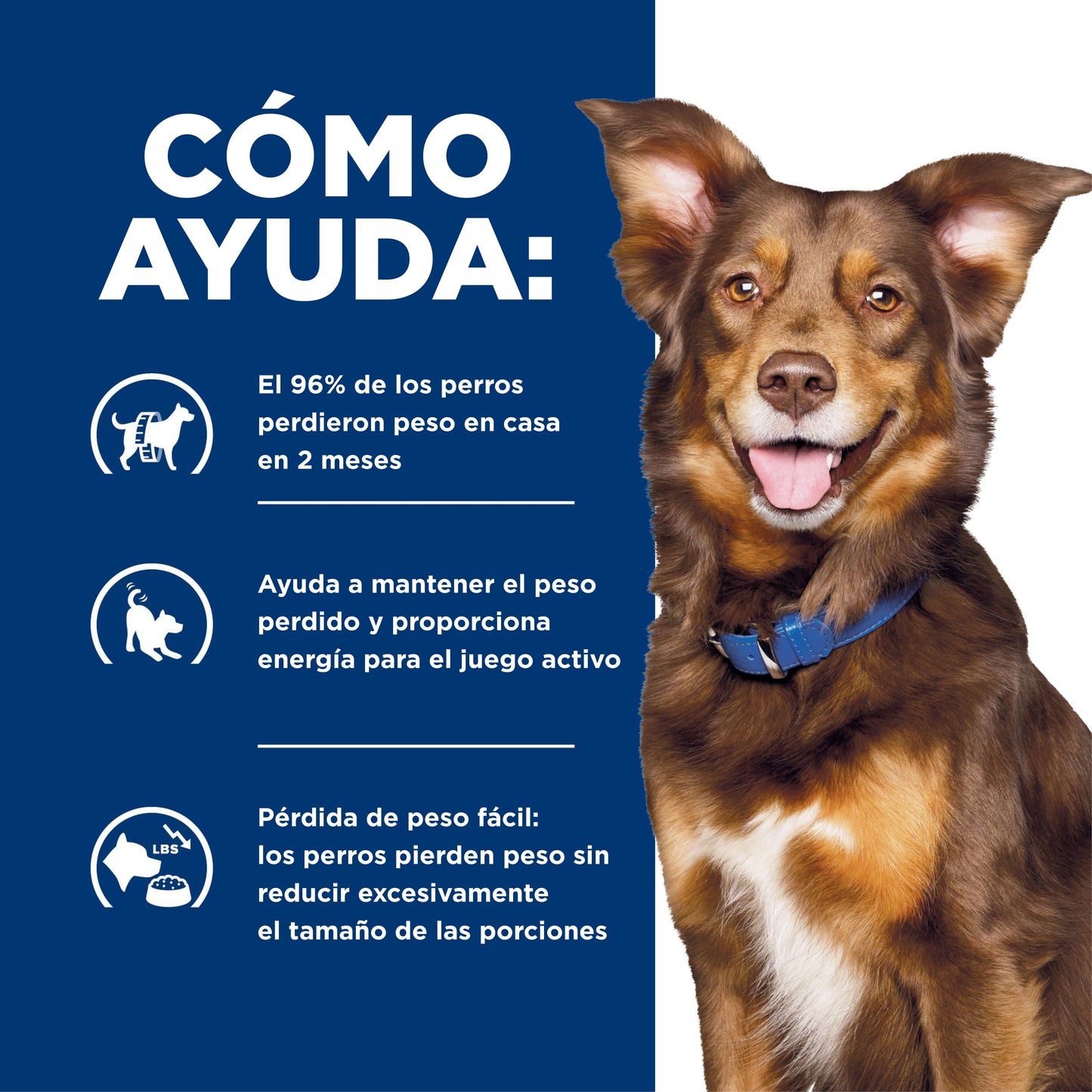 Hills Science Diet Alimento Perros Metabolic Control Peso Pienso