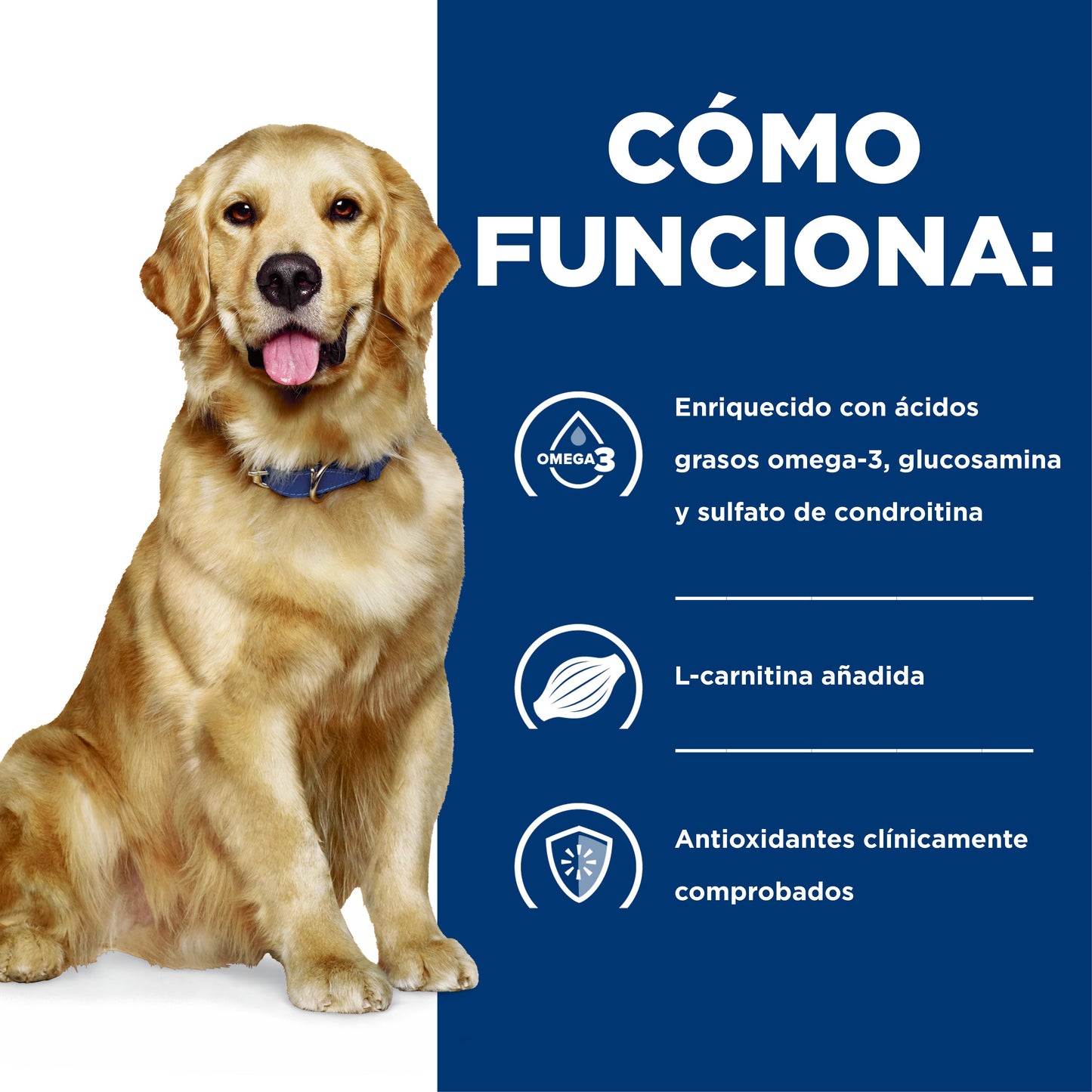 Hills Science Diet Alimento Perros j/d Artritis Alimento Seco Croquetas jd