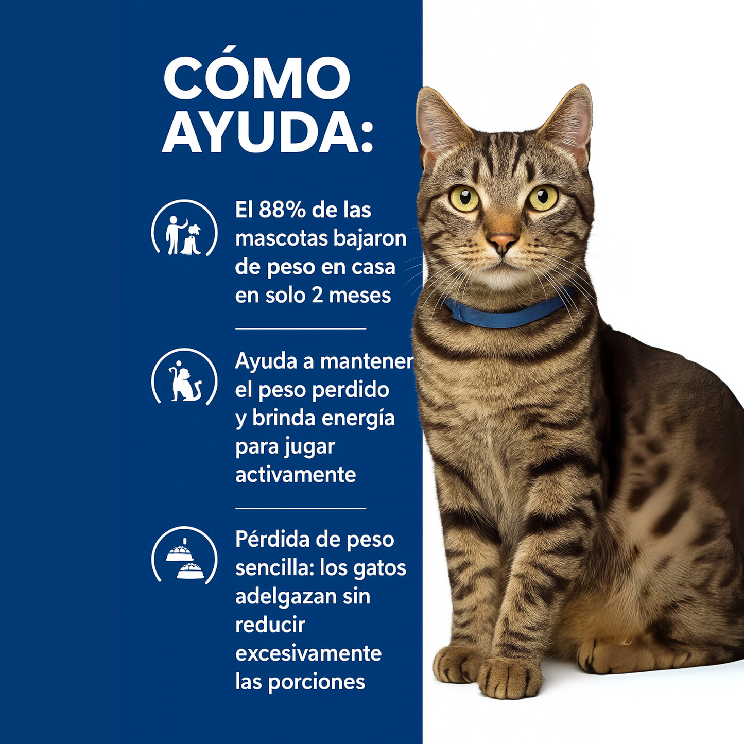Hill's Prescription Diet Metabolic Lata Alimento Húmedo para Gatos Adultos Cuidado del Metabolismo 82gr