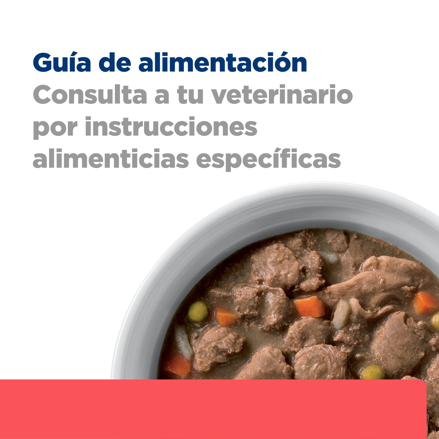 Hill's Prescription Diet ONC Care Nutrición y Apoyo de Recuperación Alimento Húmedo para Perro diagnosticado con cáncer 354 g