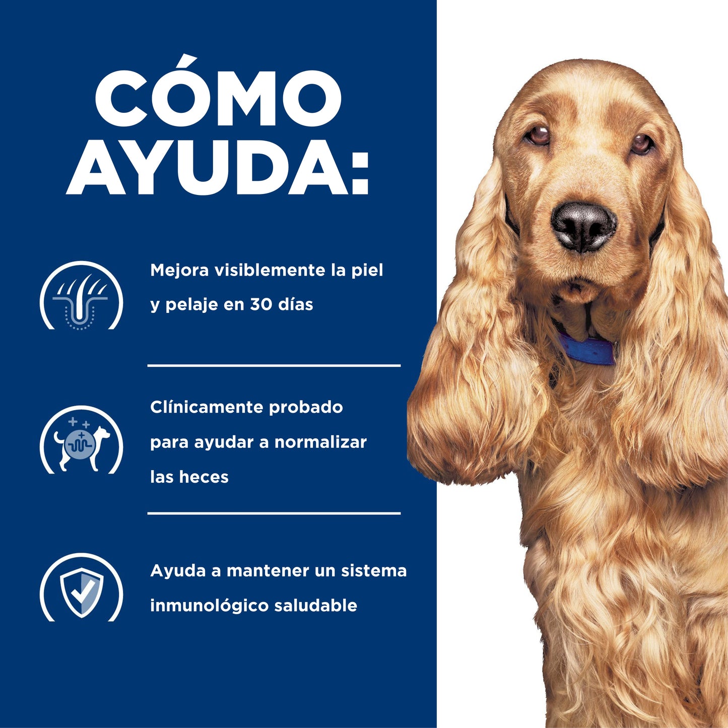 Hills Science Diet Alimento Perros z/d Lata 370 gr Intolerancia Alimenticia zd