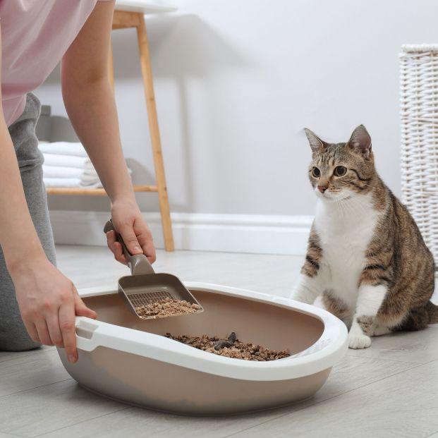 Arena Aglomerante Maiz Gato Natures Miracle