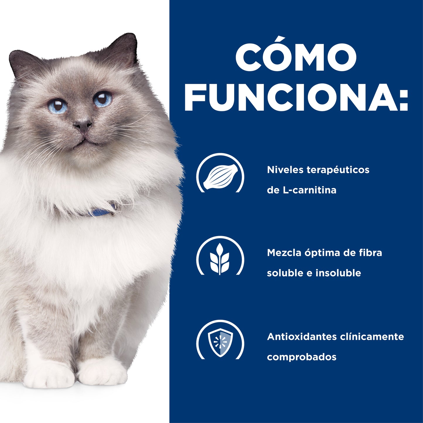 Hills Science Diet Alimento Gatos r/d 3.9 kg Sobrepeso Diabetes Croqueta Pienso RD