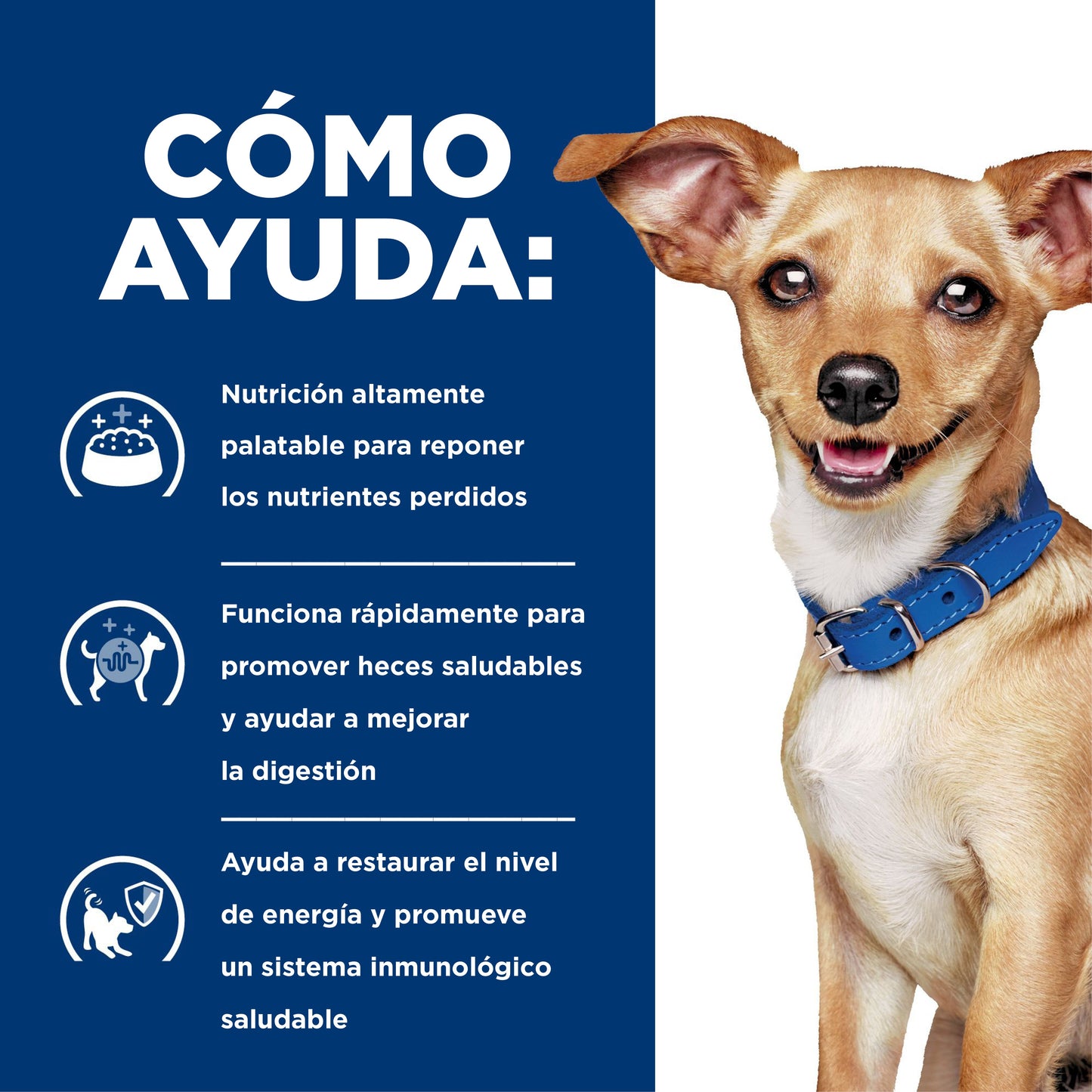 Hills Science Diet Alimento Perros i/d Small Bites Raza Pequeña Enfermedad Gastrointestinal id