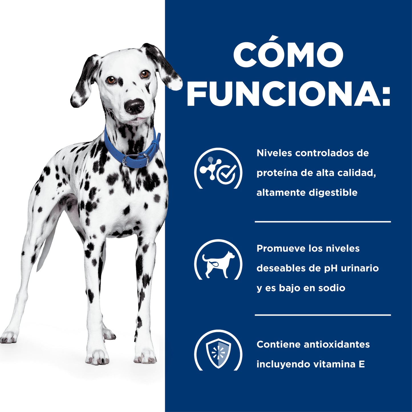 Hills Science Diet Alimento Perros u/d Urolitiasis Enfermedad Renal Etapa Final UD