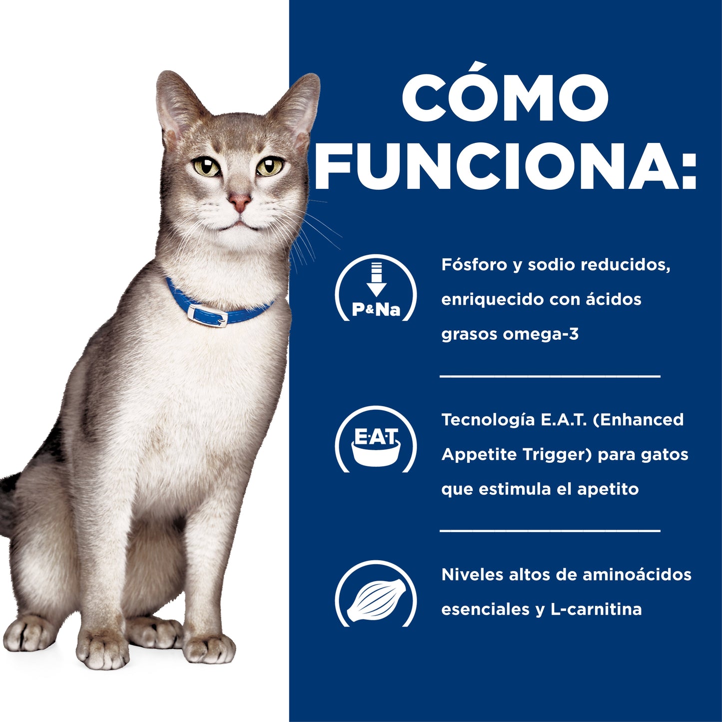 Hills Science Diet Alimento Gatos k/d Lata 156 gr Enfermedad Renal Humedo kd
