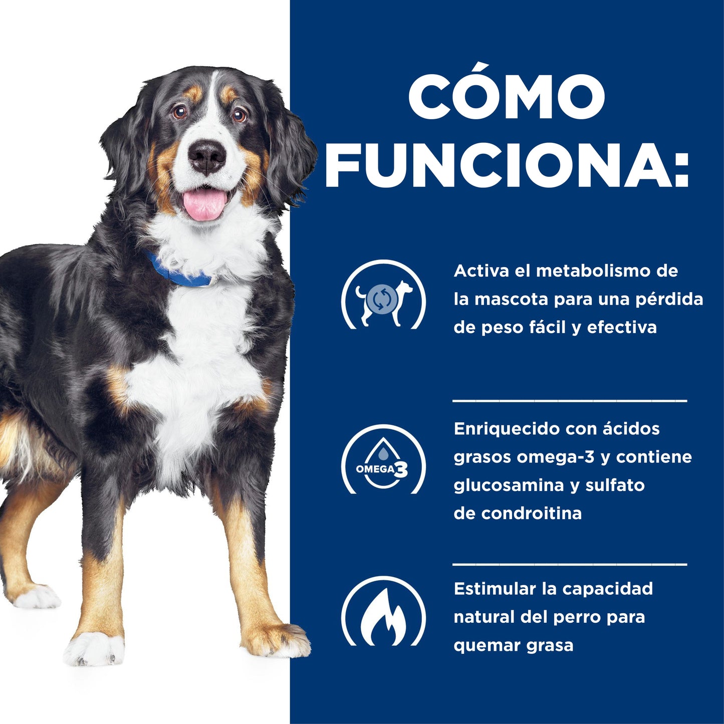 Hills Science Diet Alimento Perros Metabolic + Mobility Control Peso Artritis