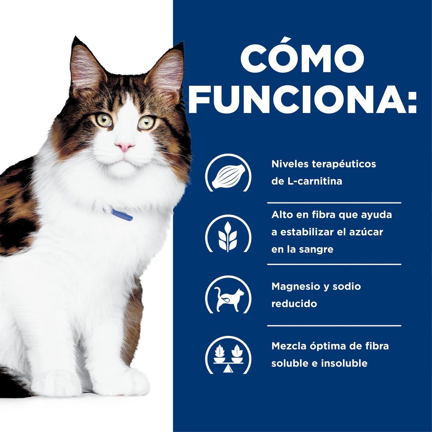 Hills Science Diet Alimento Gatos w/d 3.9 kg Prevención Obesidad Croquetas Pienso WD