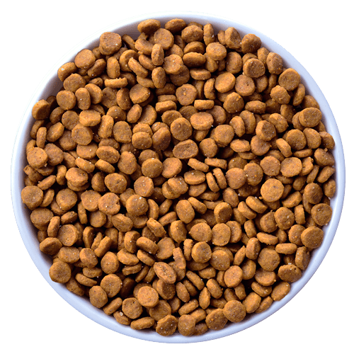 Hills Science Diet Alimento Gatos k/d Enfermedad Renal Croquetas Pienso kd