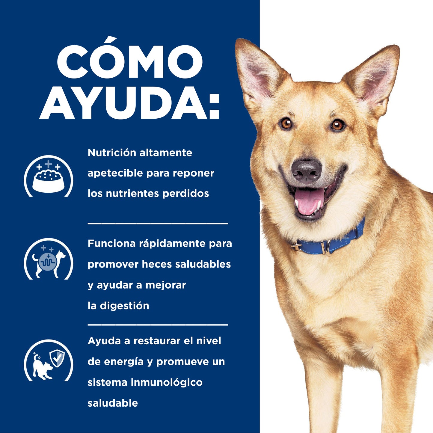 Hills Science Diet Alimento Perros i/d Lata 370 gr Enfermedad Gastrointestinal id