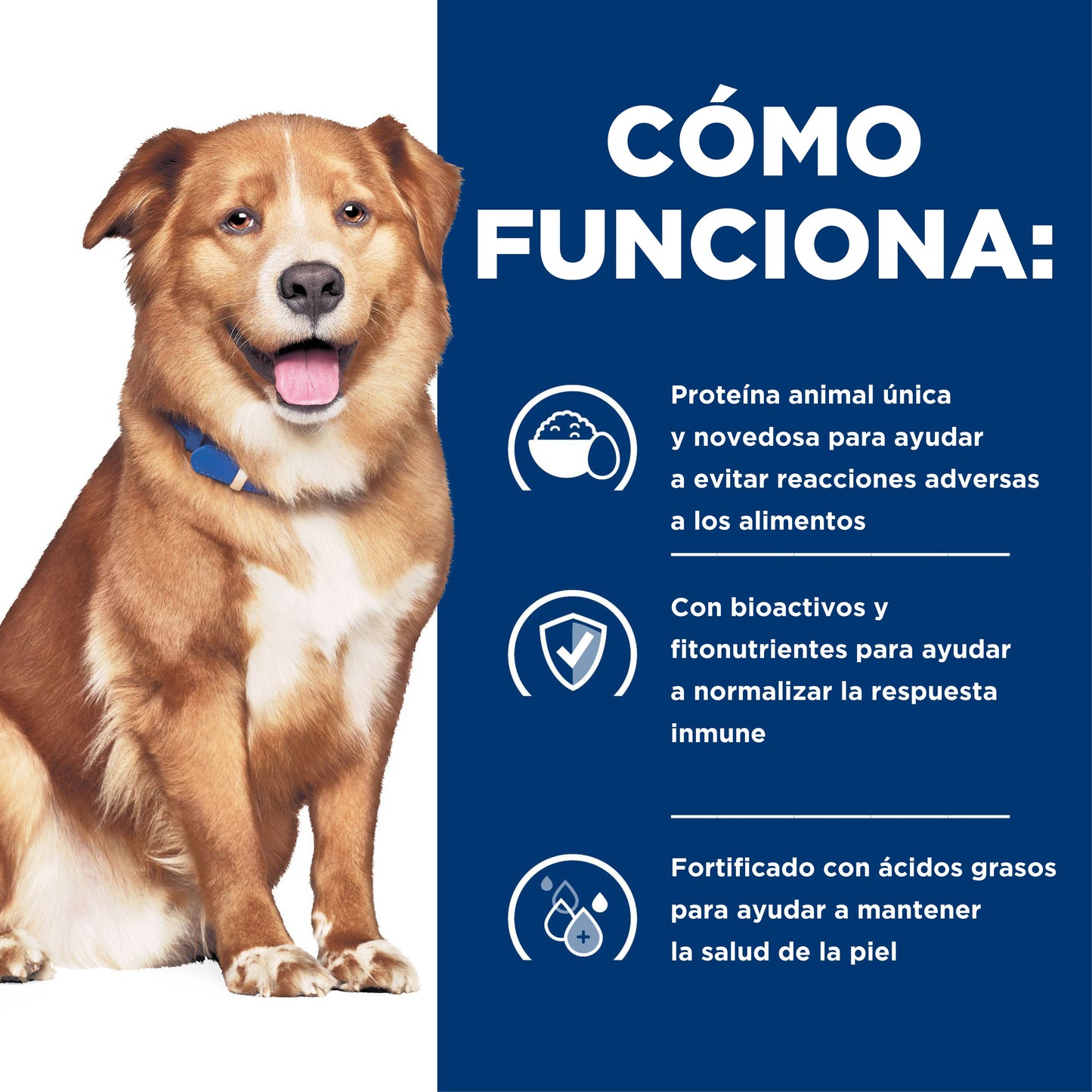 Hill's Prescription Diet Lata Derm Complete Alimento Húmedo para Perro con Alergias ambientales y alimentarias hecho con Proteína de Huevo 370gr