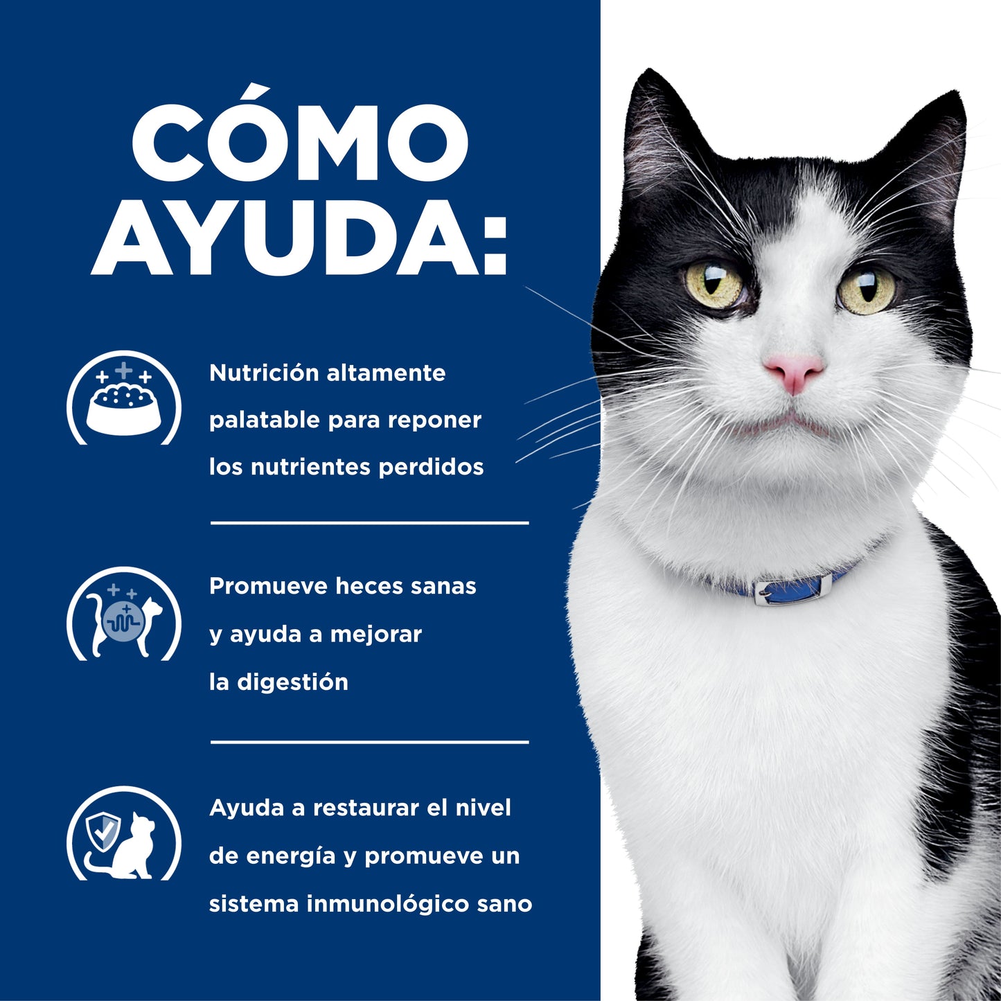 Hills Science Diet Alimento Gatos i/d 1.8 kg Enfermedad Gastrointestinal Croquetas id