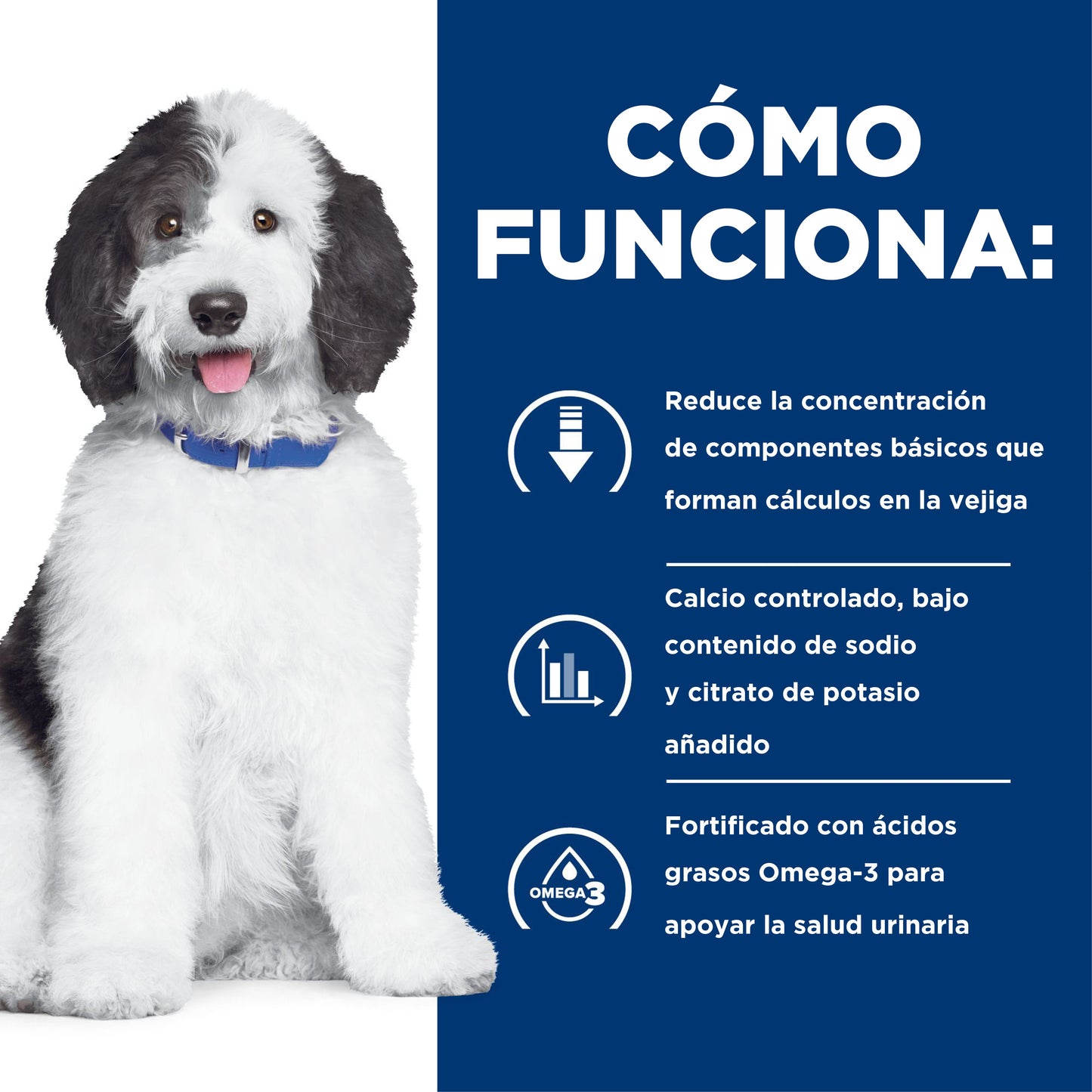 Hills Science Diet Alimento Perros c/d Lata 350 gr Estofado Urolitiasis Humedo cd