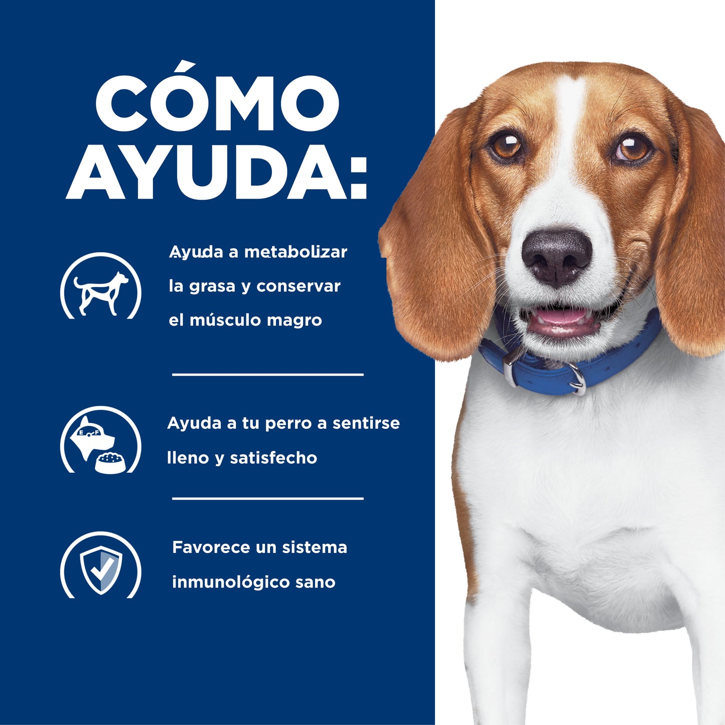 Hills Science Diet Alimento Perros r/d Sobrepeso Diabetes Pienso RD