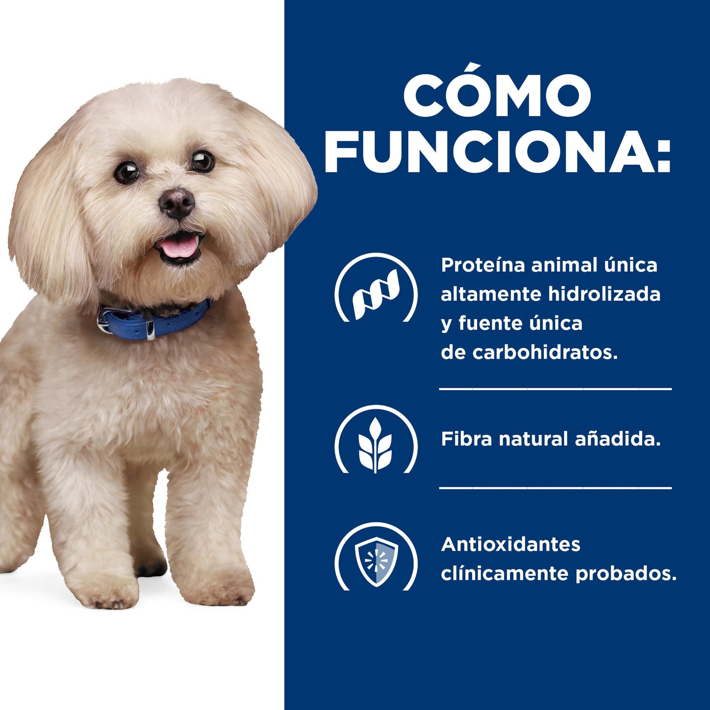 Hill's Prescription Diet z/d Small Bites Sensibilidades Alimentarias Alimento Seco para Perro ZD