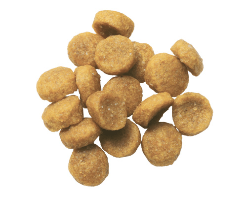 Hills Science Diet Alimento Gatos r/d 3.9 kg Sobrepeso Diabetes Croqueta Pienso RD