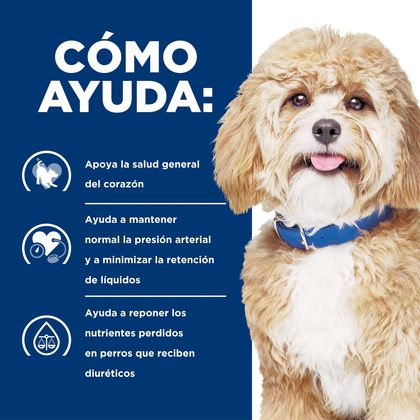 Hills Science Diet Alimento Perros h/d Enfermedad Cardiaca Croqueta Pienso HD
